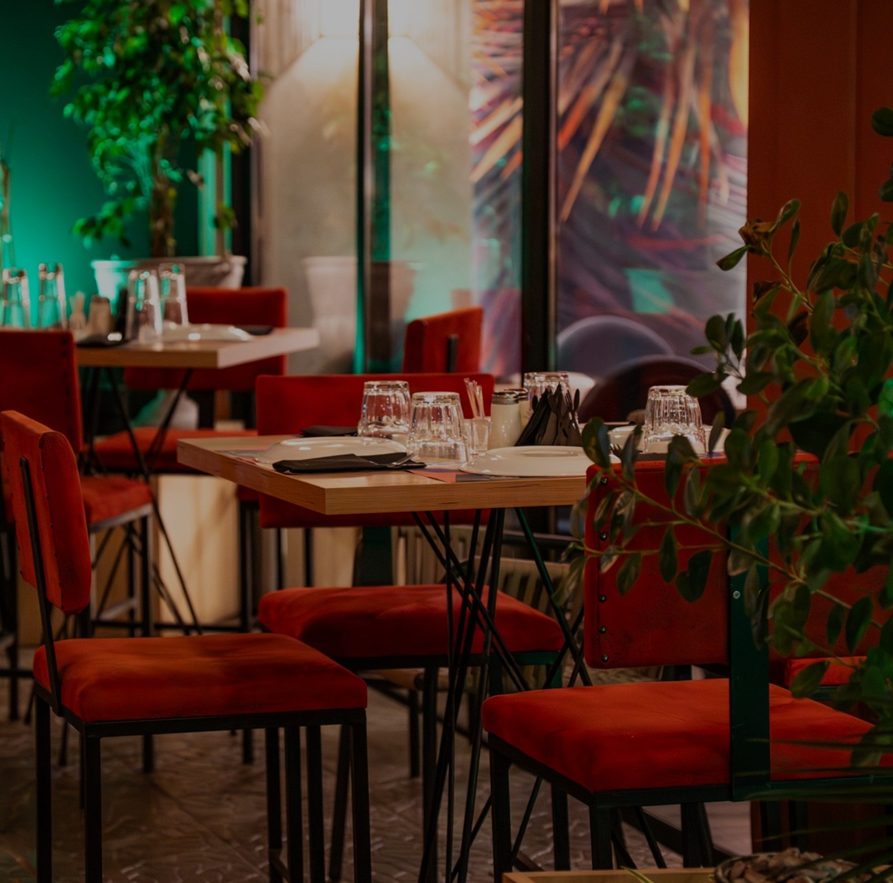 Εστιατόρια Λάρισα | Cataleya Mezestaurant | Φαγητό στο Κέντρο